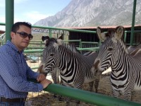 Venta de fauna exótica y nativa